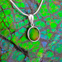 Load image into Gallery viewer, KORITE 14K White Gold Oval Ammolite/Jade Pendant