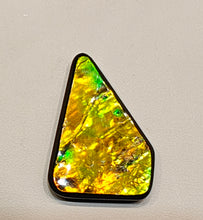 Load image into Gallery viewer, golden Freeform Ammolite
