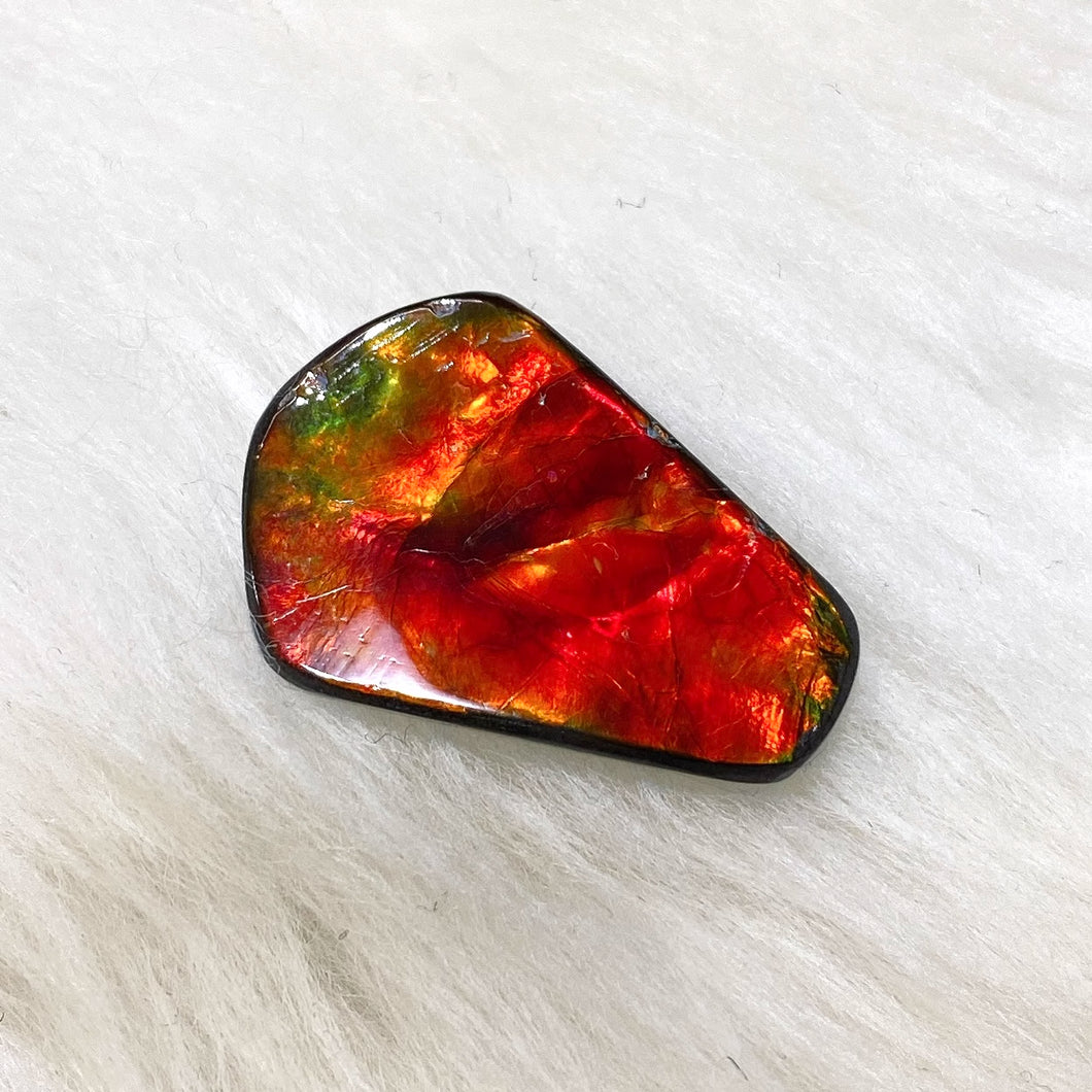 FNA0098