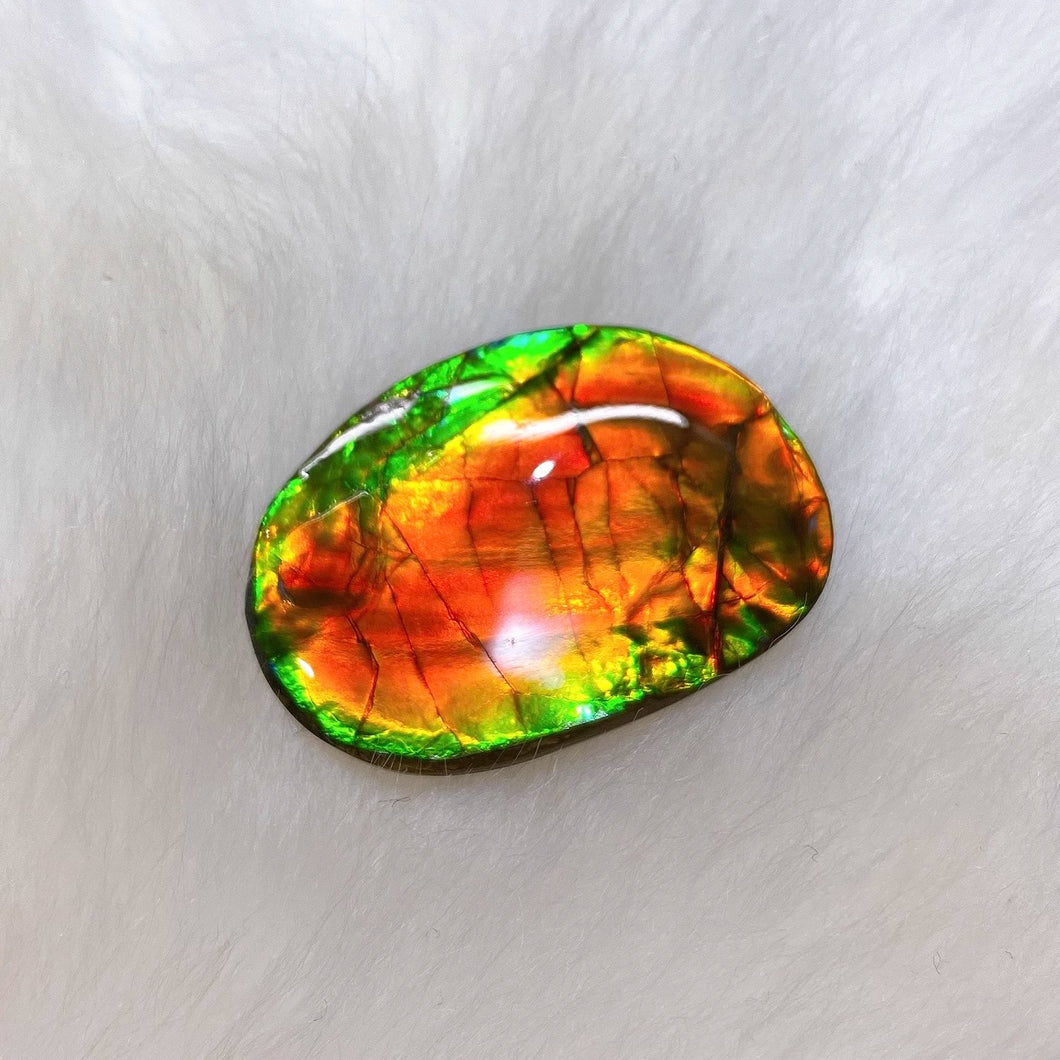 Freeform Ammolite FNA0108