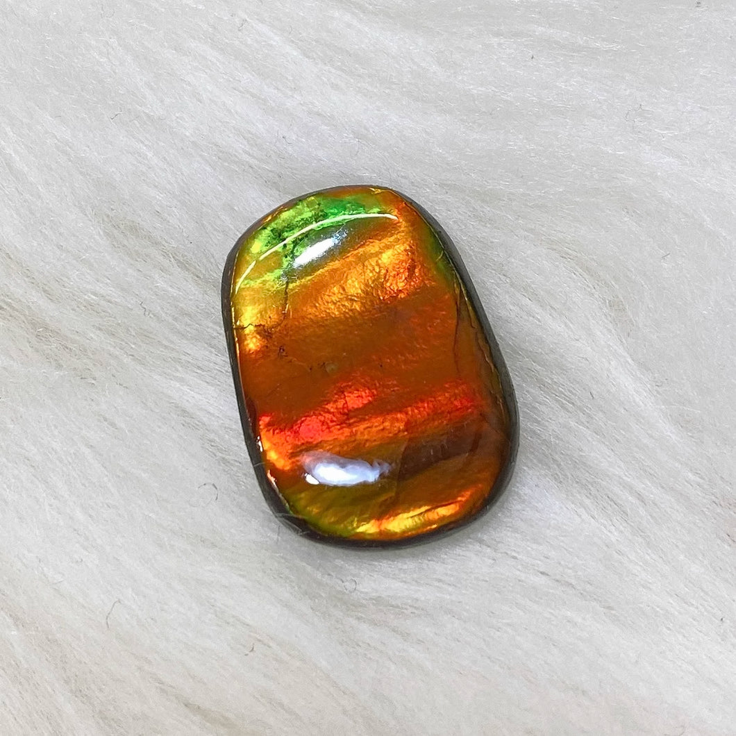 Freeform Ammolite FNA0275