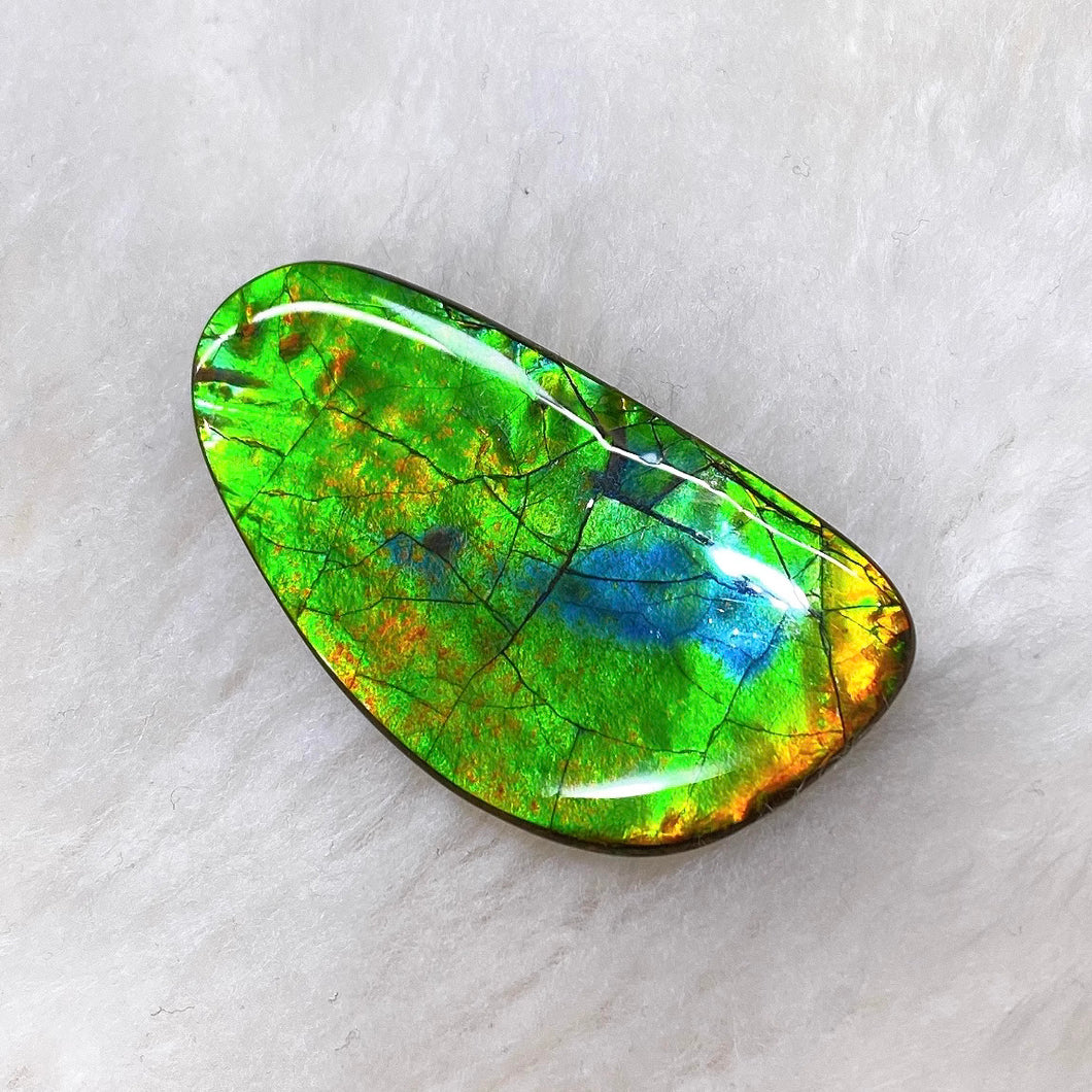 Freeform Ammolite FNA22069