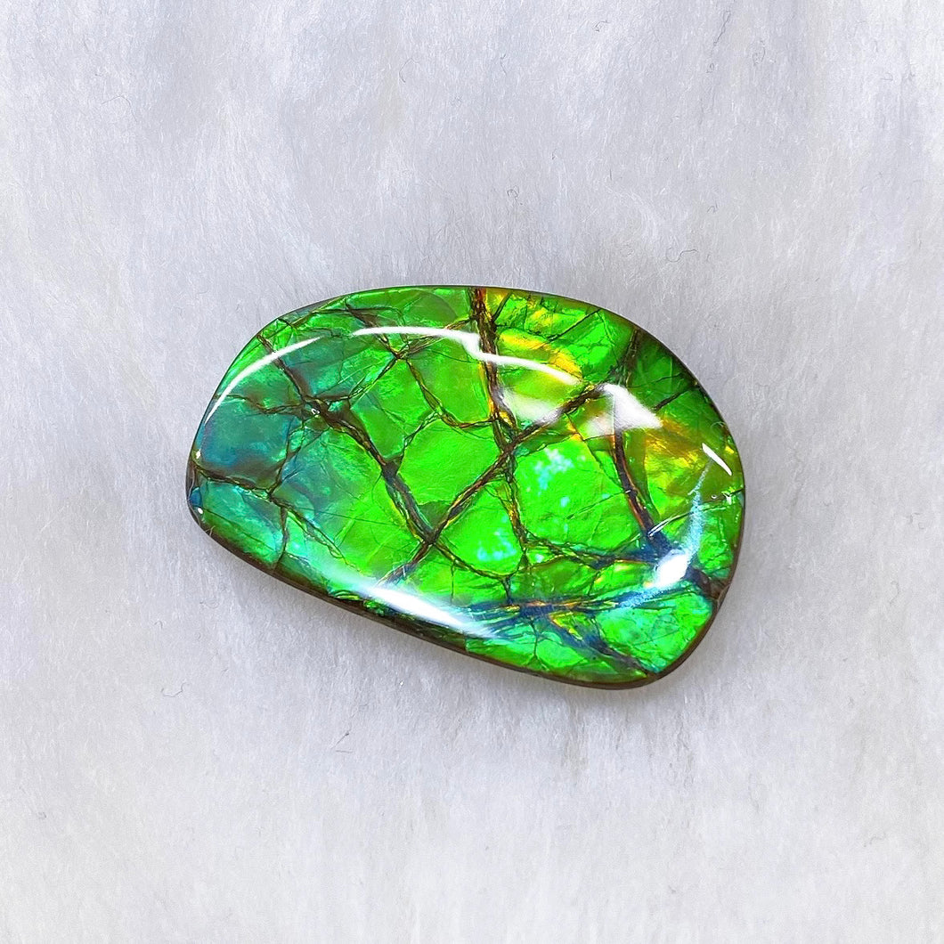 Freeform Ammolite FNA22100