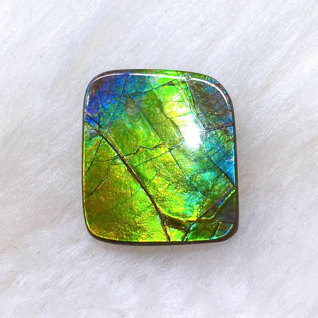 Freeform Ammolite FNA22104