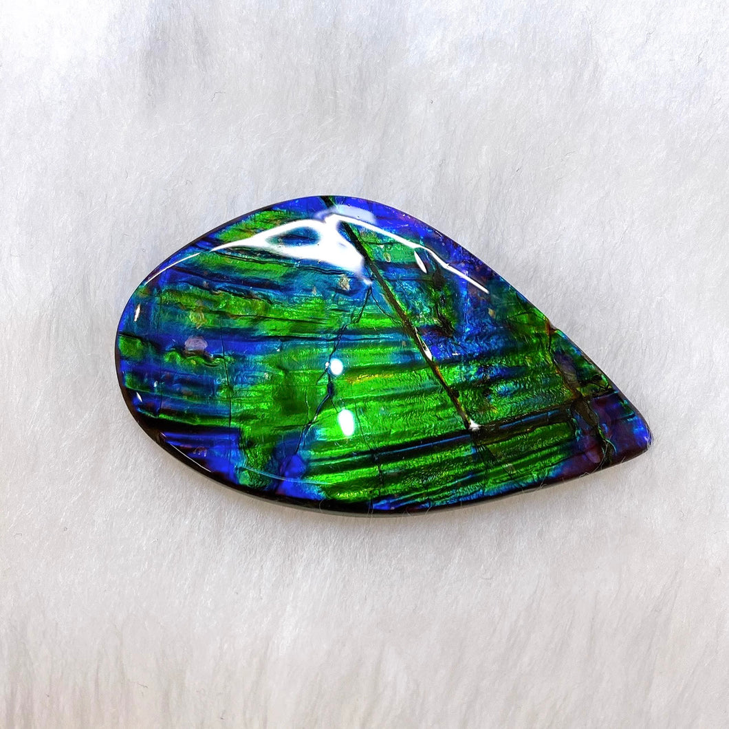 Freeform Ammolite FNA22126