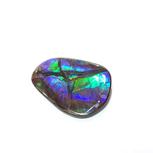 Load image into Gallery viewer, Freeform Ammolite FNA22139
