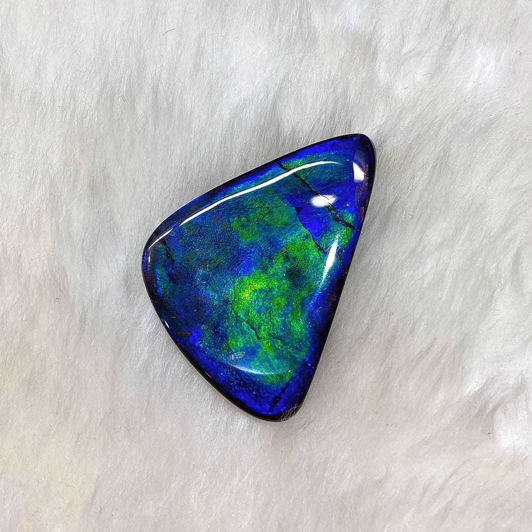 Freeform Ammolite FNA22140