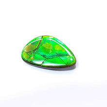 Load image into Gallery viewer, Freeform Ammolite FNA22142
