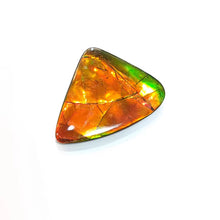Load image into Gallery viewer, Freeform Ammolite FNA22146
