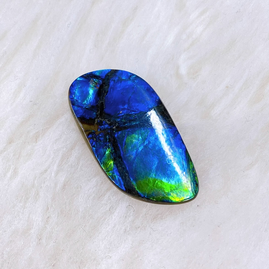 Freeform Ammolite FNA22152