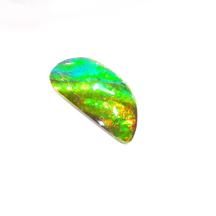Freeform Ammolite CASBRFF003