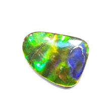 Load image into Gallery viewer, Freeform Ammolite FNA22160
