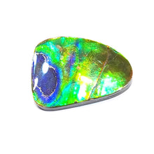 Load image into Gallery viewer, Freeform Ammolite FNA22160
