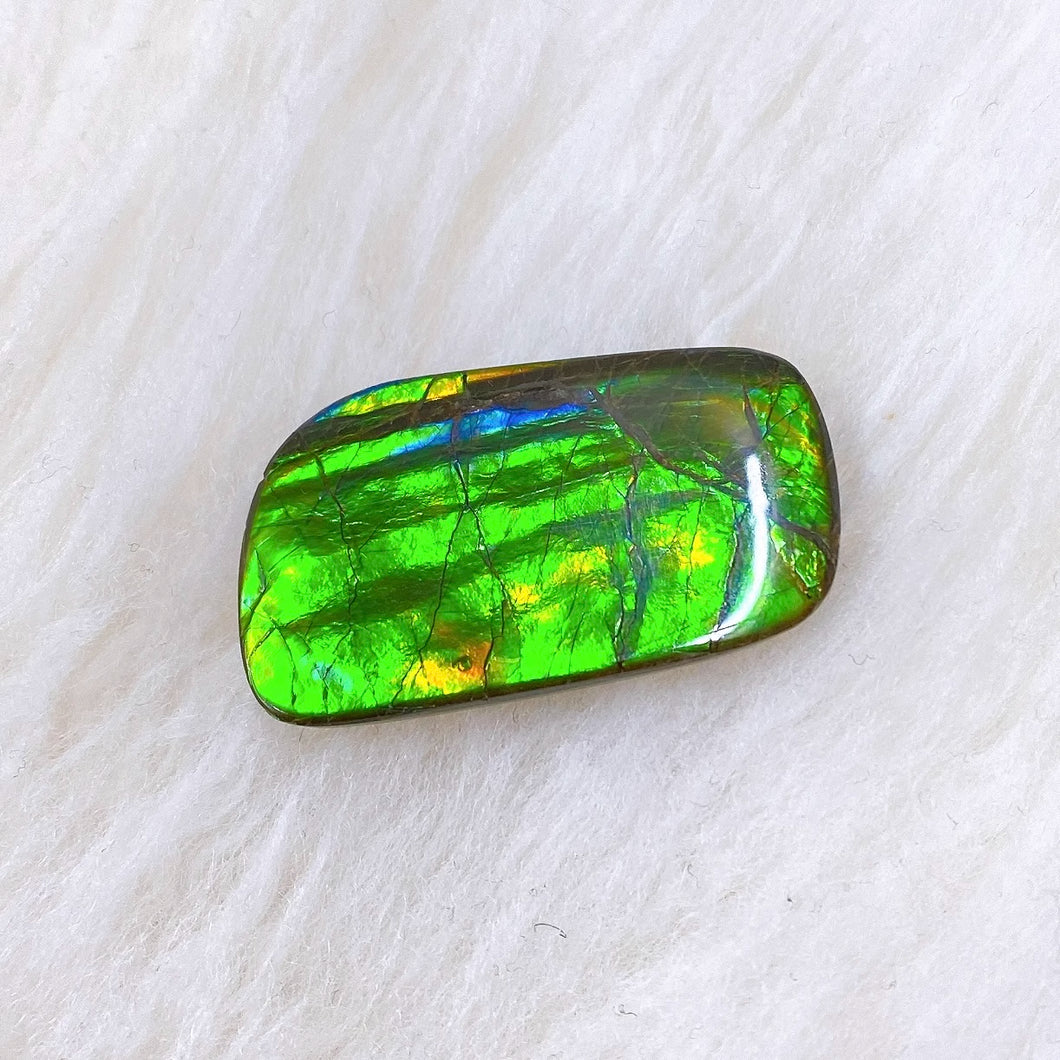 Freeform Ammolite FNA22164