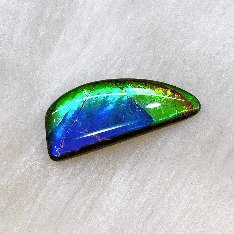 Freeform Ammolite FNA22201