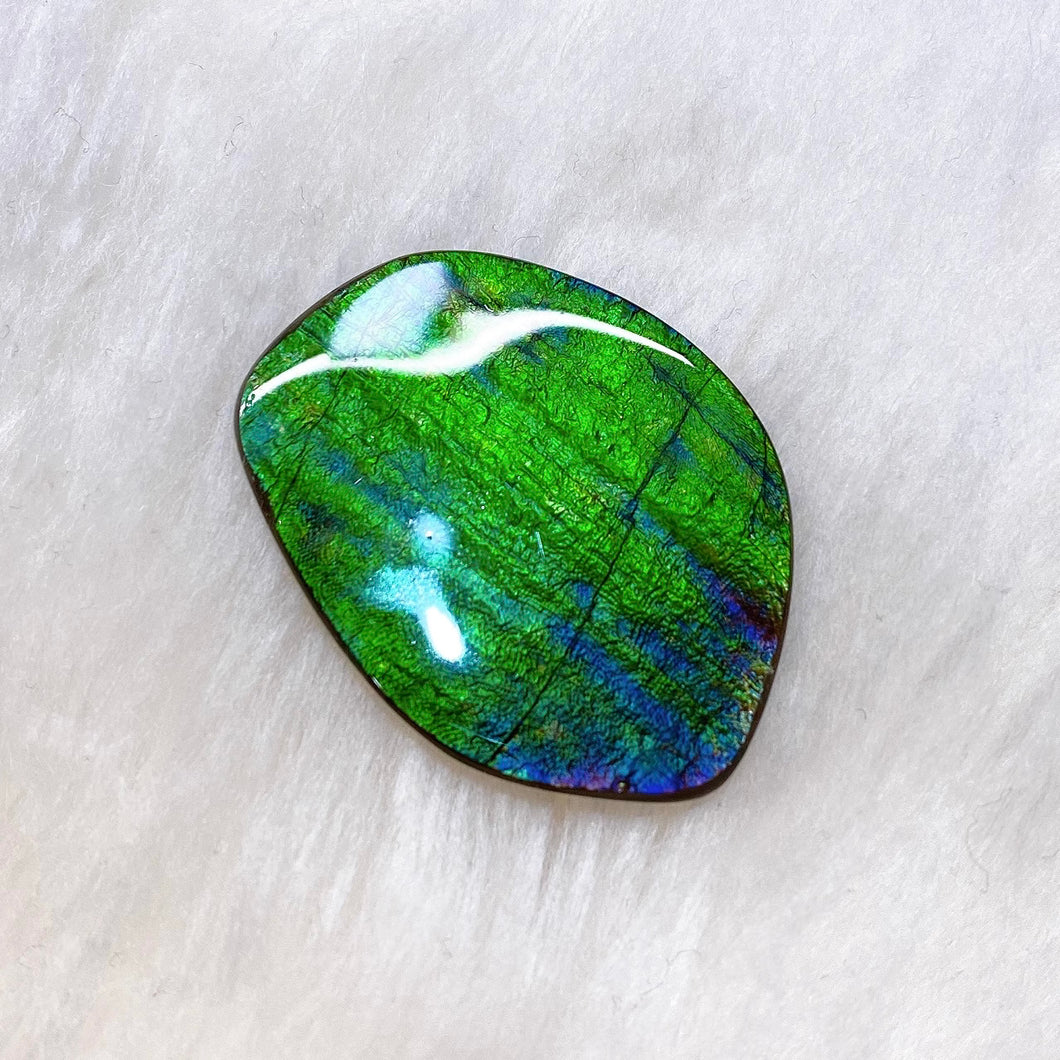 Freeform Ammolite FNA22203
