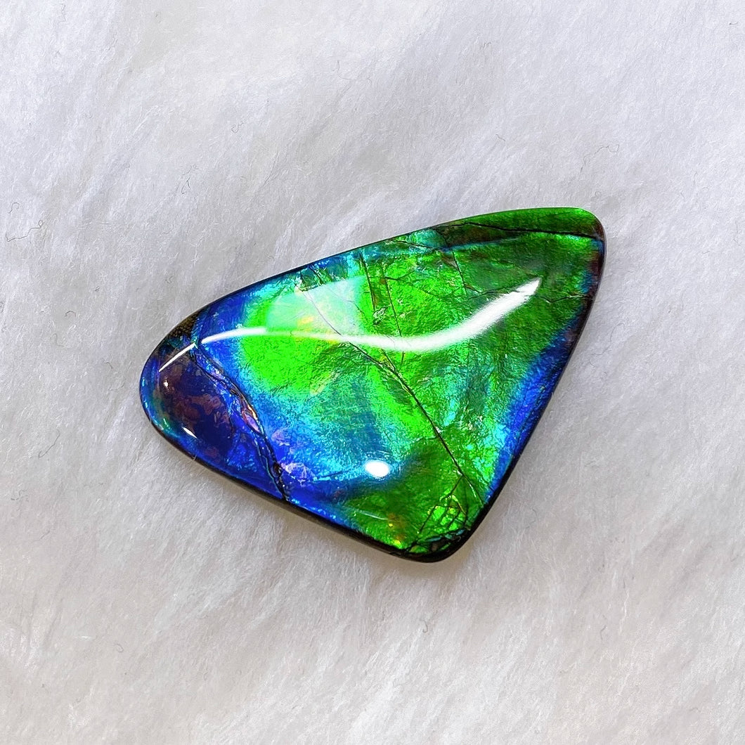 Freeform Ammolite FNA22206