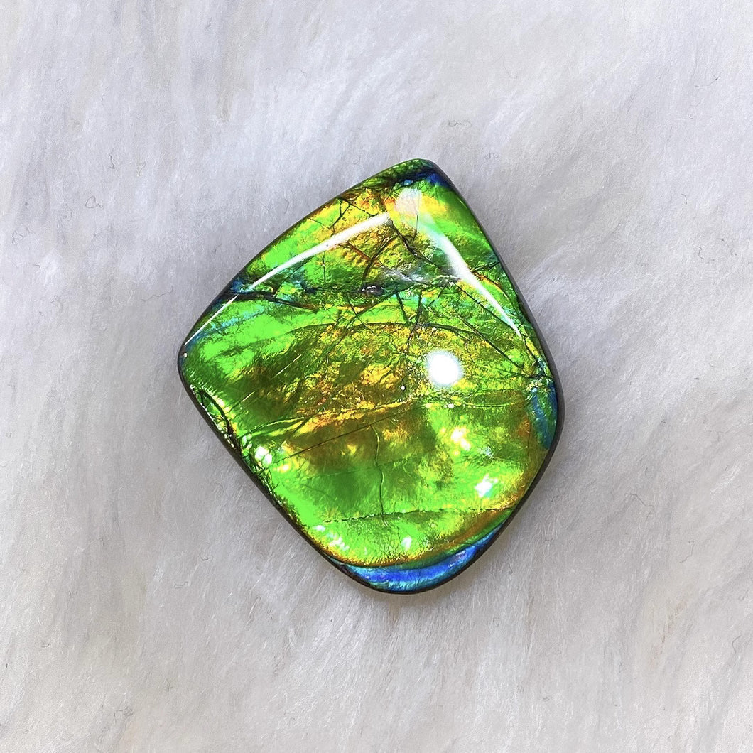 Freeform Ammolite FNA22208