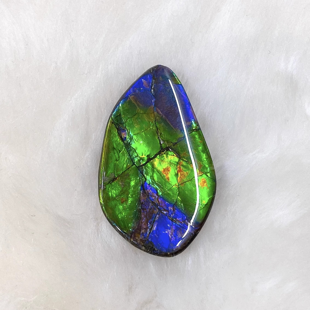 Freeform Ammolite FNA22600