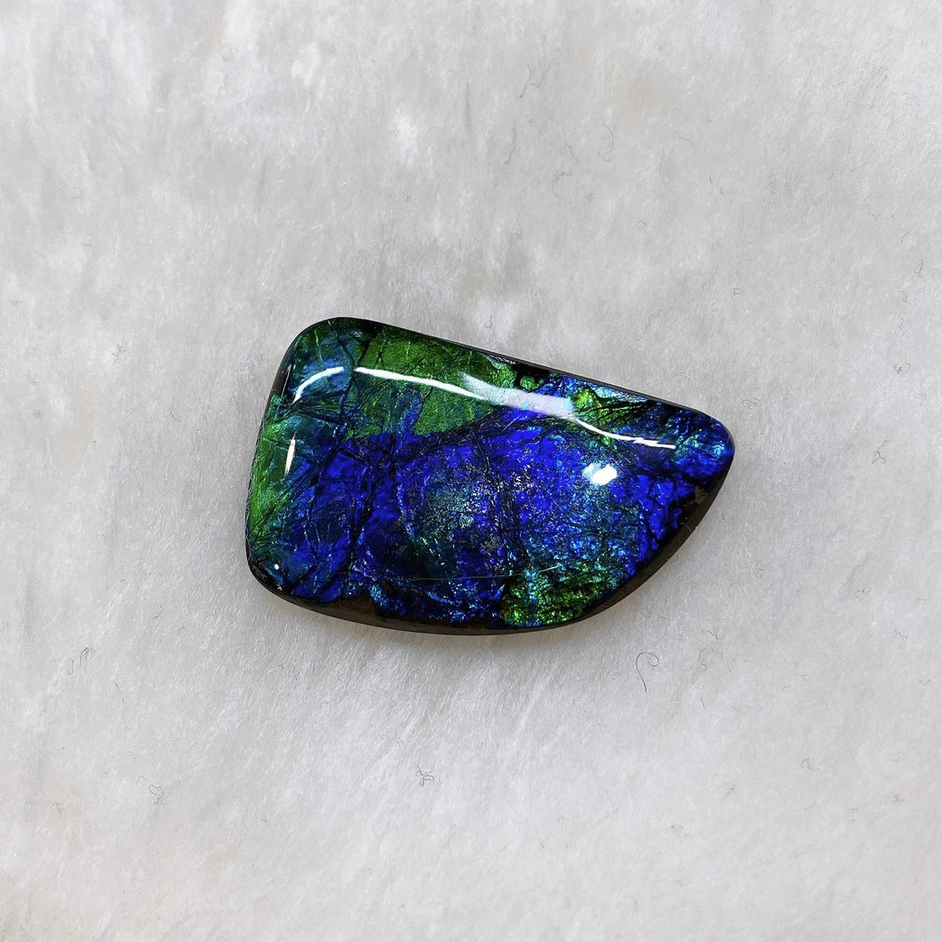 Freeform Ammolite FNA23202