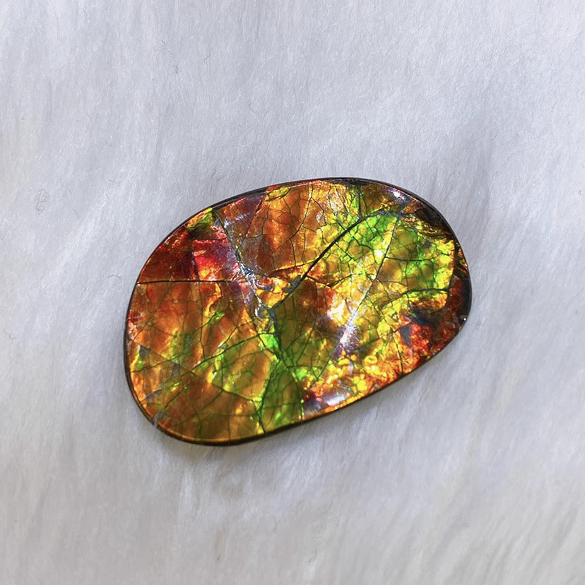 Freeform Ammolite FNA6593