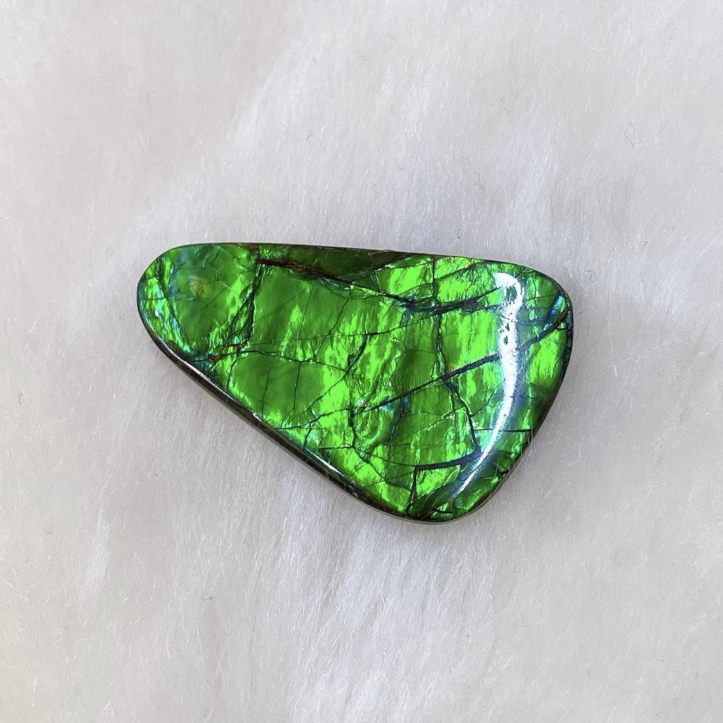 Freeform Ammolite FNCA22432