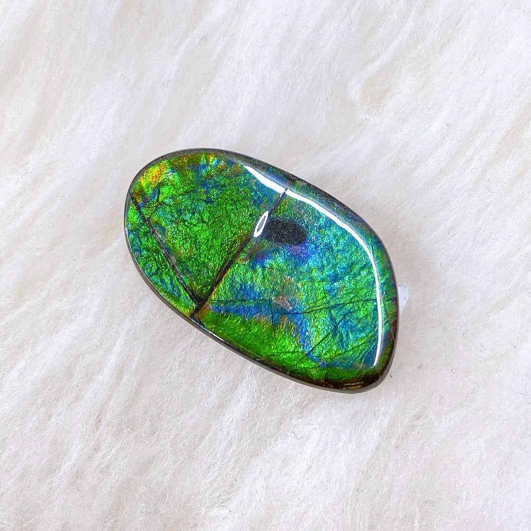Freeform Ammolite FNCA23435
