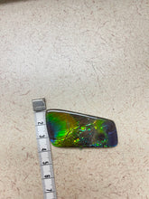 Load image into Gallery viewer, AM7861
