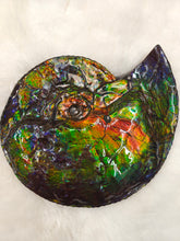 Load image into Gallery viewer, AMLF2288
