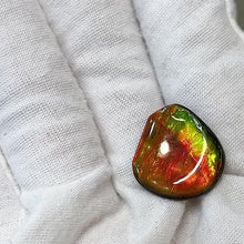 Load and play video in Gallery viewer, Double-sided Ammolite Unmounted Piece FNA0276

