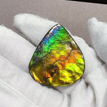 Load and play video in Gallery viewer, Double-sided Ammolite Unmounted Piece FNA0113
