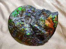 Load image into Gallery viewer, Z-Ammolite Fossil #210418
