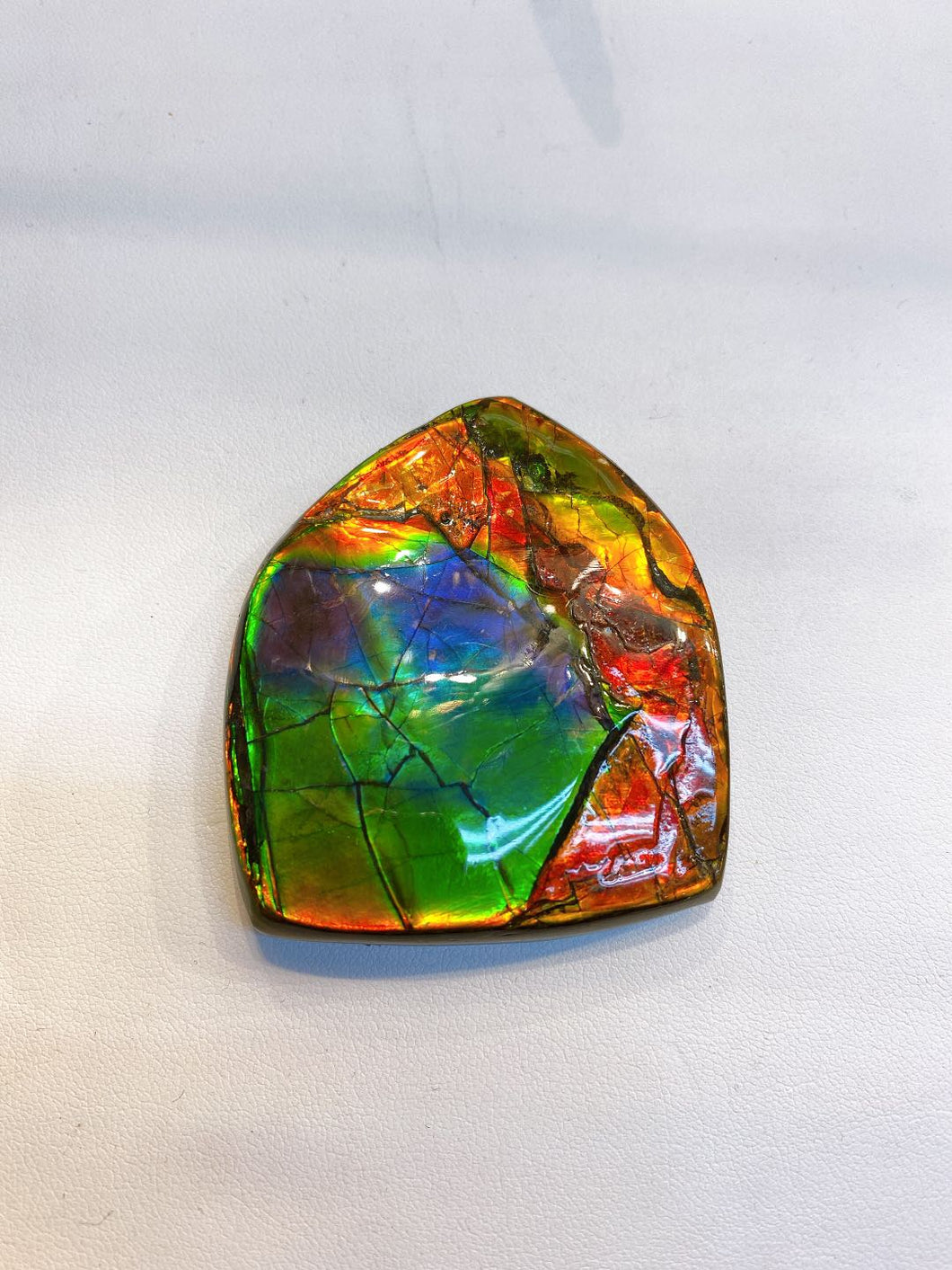 Z-Ammolite Nature Handheld Sample