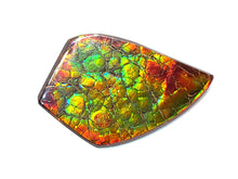 Load image into Gallery viewer, Z-FNA22066

