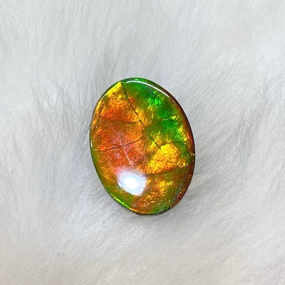 Freeform Ammolite Gemstone
