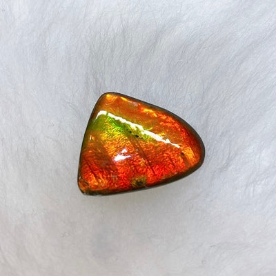 Freeform Ammolite Gemstone FNA0335