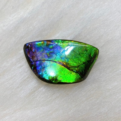 Freeform Ammolite Gemstone FNA6551