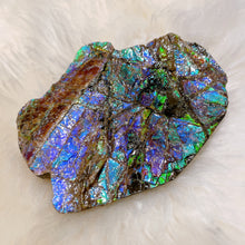 Load image into Gallery viewer, Ammolite Hand Specimens FNGS2232
