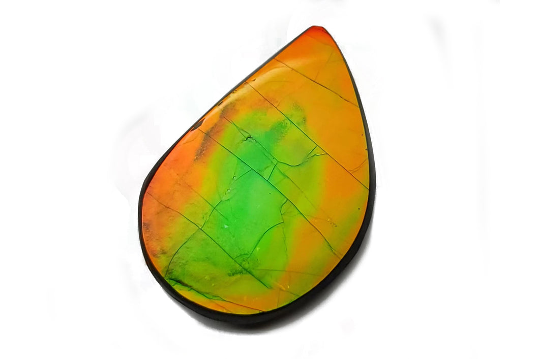 FFSC2225