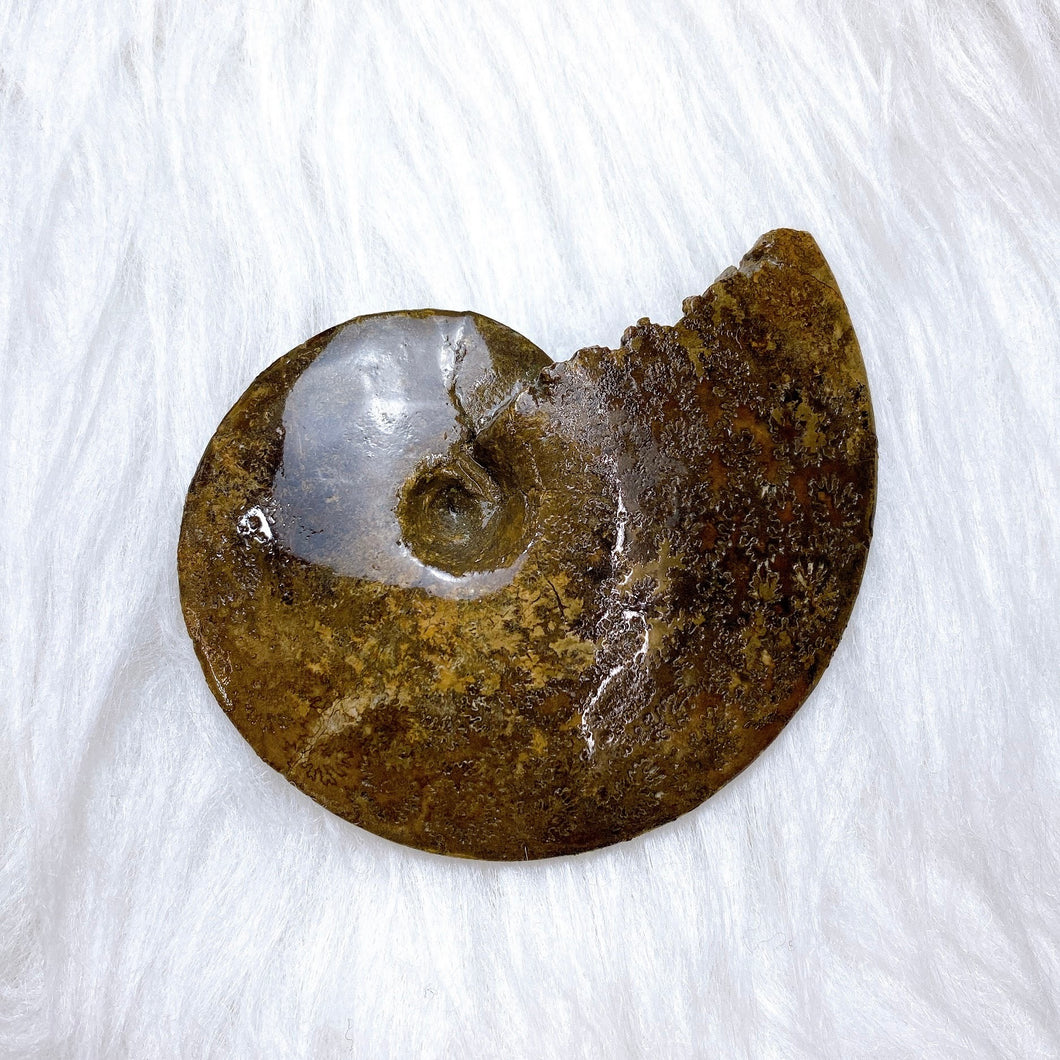Z-FNA00999