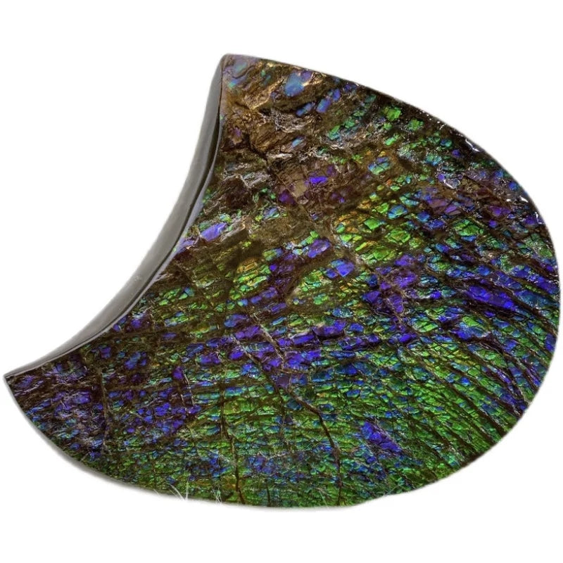Z-ALPF23