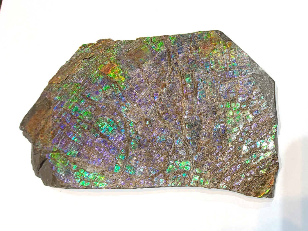 Z-TSSAP0003