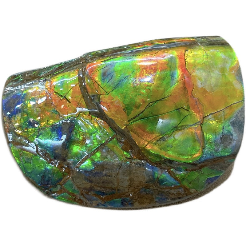 Z-TSSAP0004