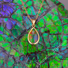 Load image into Gallery viewer, 14K Gold Teardrop Ammolite Pendant
